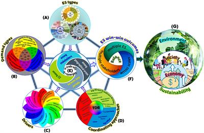 Trade-offs and synergies in ecosystem services for sustainability